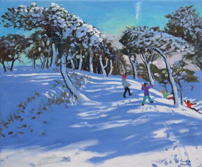 Hiver, Ladmanlow, Derbyshire, 2013 - Andrew Macara